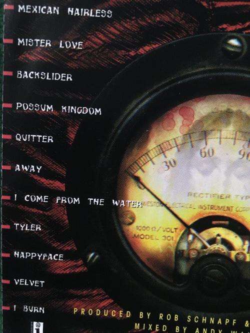 CD - Toadies - Rubberneck