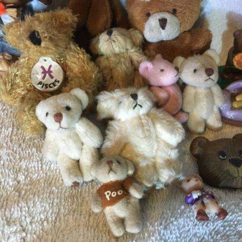 Job lot of 14 Small Collectable Teddies