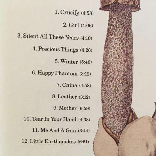 CD - Tori Amos - Little Earthquakes