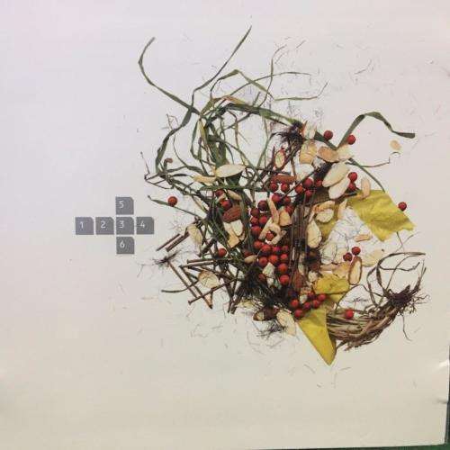 CD - Slicker - Remixes