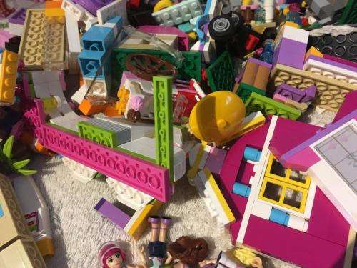Large Job Lot of Lego Friends sets + instructions