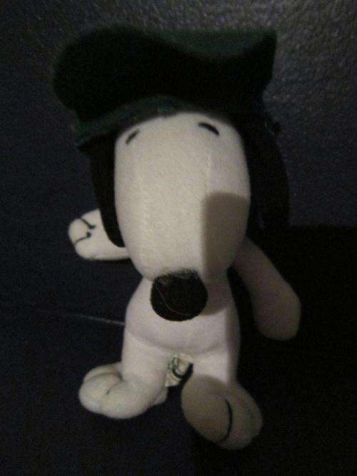 Snoopy - Giocattoli Sicuri +-16cm