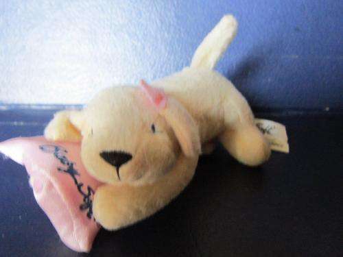 Baby Soft Puppy With a pillow