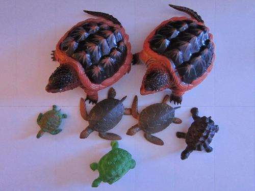 Job Lot Turtles rubber and plastic x 7