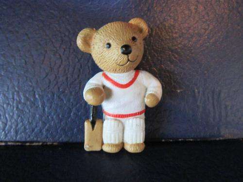 Teddy in my pocket