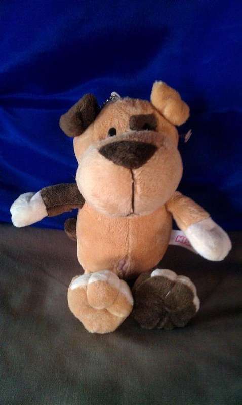Dog - Nici +/- 21cm