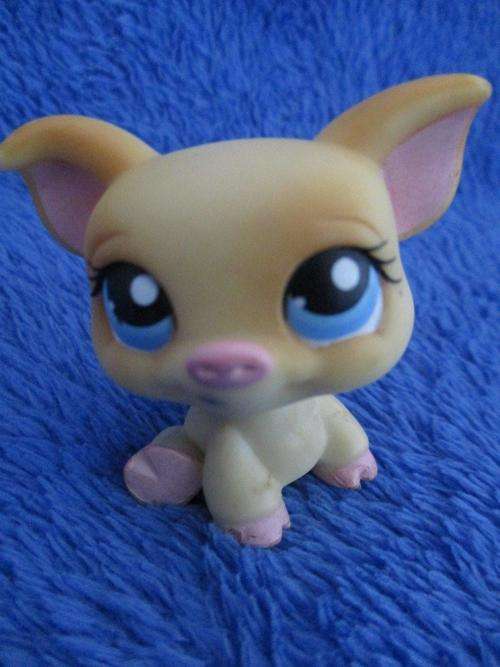Littlest Pet Shop (LPS) Hasbro  +-5cm