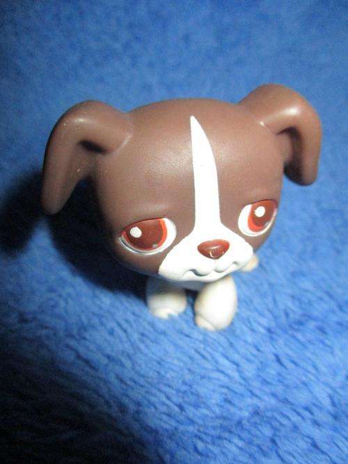 Littlest Pet Shop (LPS) puppy Hasbro  +-5cm