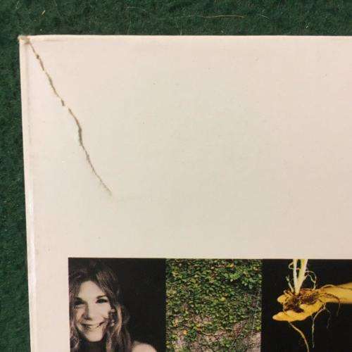 CD - Dar Williams - The Green World (Card Cover)