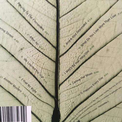 CD - Dar Williams - The Green World (Card Cover)