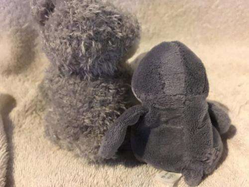 Tatty Teddy and Blue Nose - Carte Blanche Greetings +- 14cm & 12cm