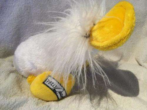 Scarce Telly Fun Quiz - Quack circa 1980's