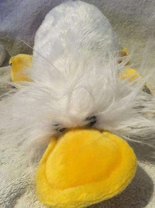 Scarce Telly Fun Quiz - Quack circa 1980's