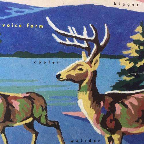 CD - Voice Farm - Bigger Cooler Wider