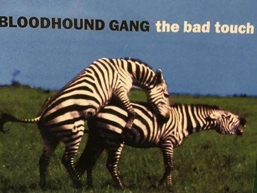 CD - Bloodhound Gang - The Bad Touch (Single)