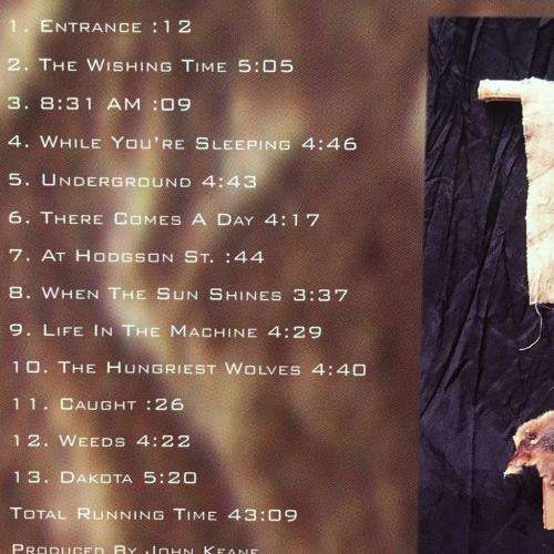 CD - Catfish Jenkins - Normaltown