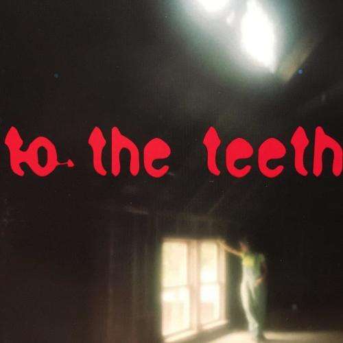CD - Ani Difranco - To The Teeth