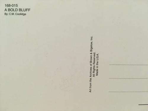 Post Card - A Bold Bluff - Made In U.S.A. (N.O.S)