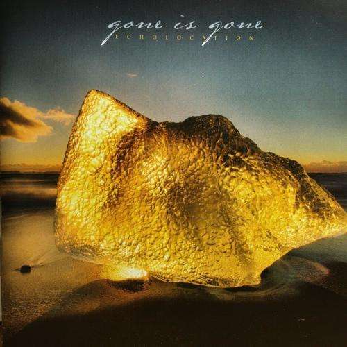 CD - Gone is Gone - Echolocation