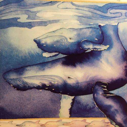 CD - Council of the Humpback Whales