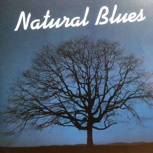 CD - Naturescapes Music - Natural Blues
