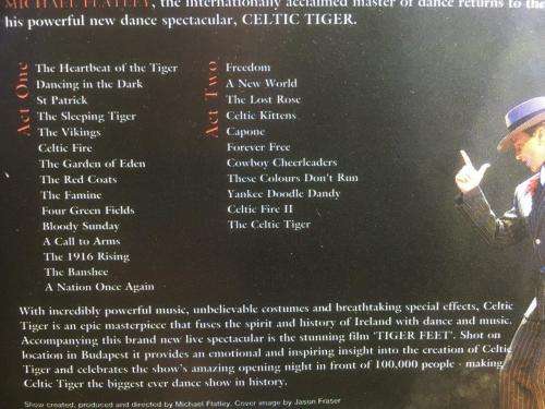 DVD - Celtic Tiger - Michael Flatley
