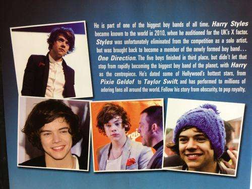 DVD - Harry Styles My World