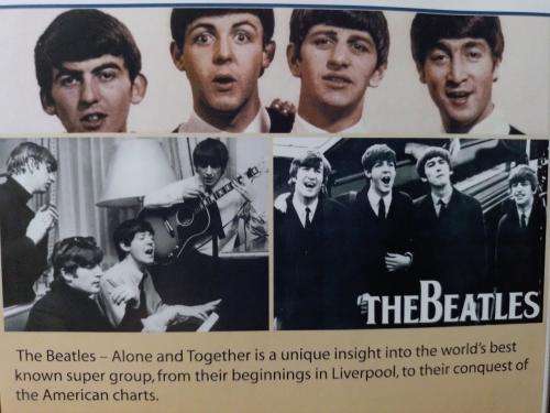 DVD - The Beatle - Alone and Together