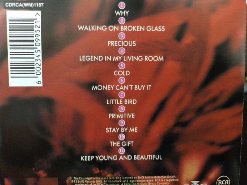 CD - Annie Lennox - Diva - CDRCA (WM) 1187