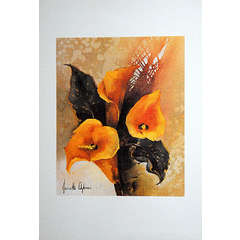 Bouquet 5 - Jeanette Dykman (special edition portfolio of 5 superb SA flower reproduction)