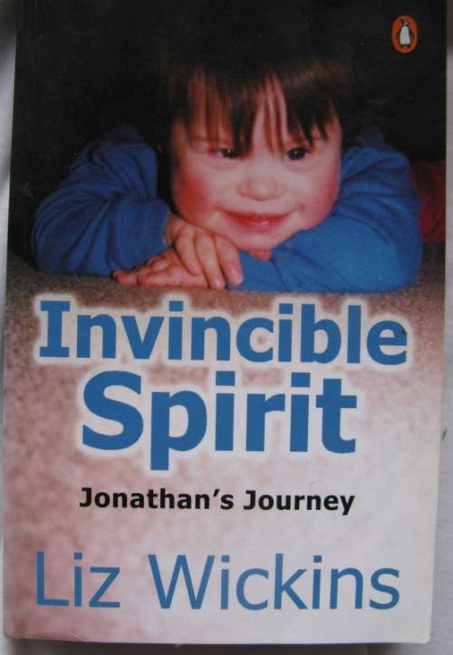 Invincible Spirit: Jonathan`s Journey - Liz Wickins - Paperback