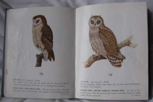 Sommige Beskermde Voels / Some Protected Birds of the Cape Province - Small pocket book - Hardcover