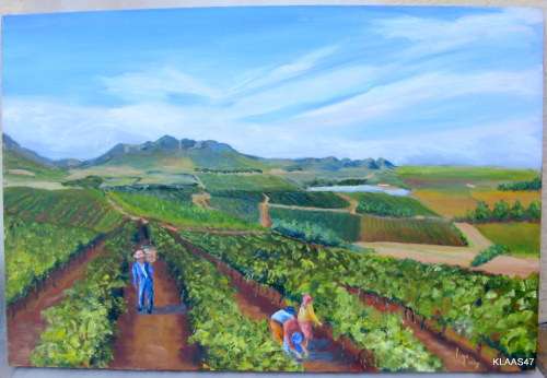 WESTERN CAPE VINEYARD : ELENA 2007 : OIL ON CANVAS - 76x51cm