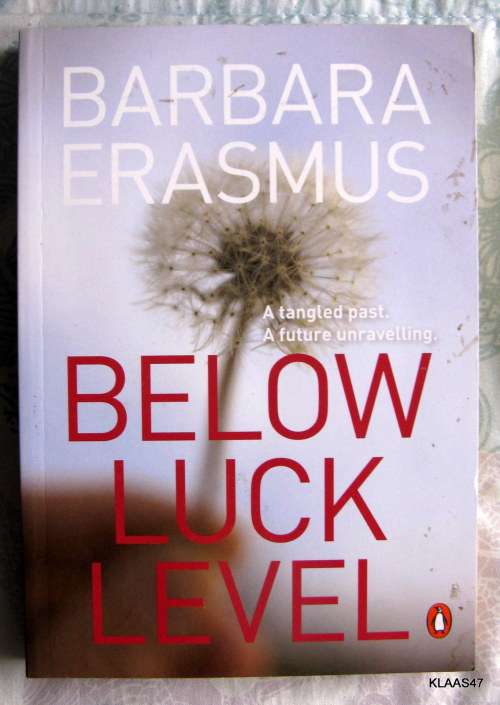 Below Luck Level - Barbara Erasmus - Paperback