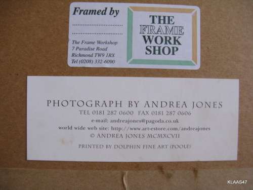 FRAMED PHOTOGRAPH BY ANDREA JONES PRINTED BY DOLPHIN FINE ART POOLE