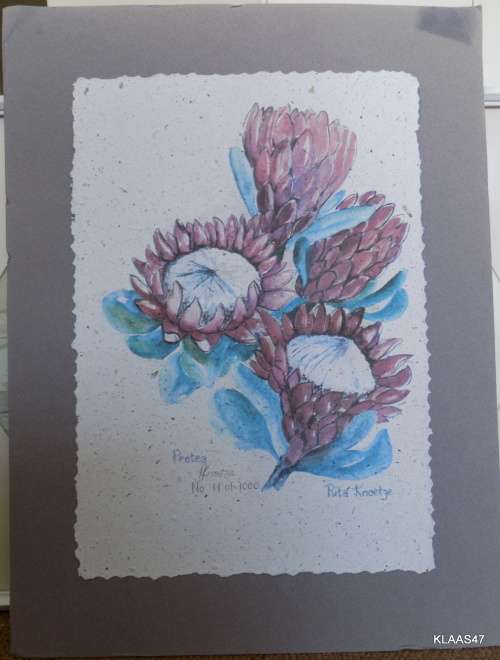 PRINT NO 11 OF 1000 SIGNED PRINTS PROTEA BY RITA KNOETZE