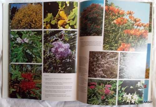 Shrubs, Trees and Climbers for Southern Africa - Sima Eliovson - Hardcover