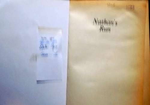 Nathan`s Run - John Gilstrap - Paperback