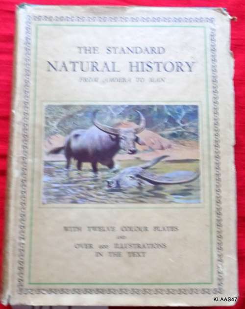 The Standard Natural History - From Amoeba To Man - W P Pycraft  - Hardcover