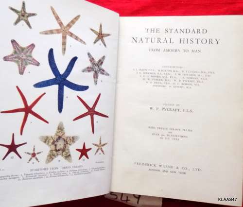 The Standard Natural History - From Amoeba To Man - W P Pycraft  - Hardcover