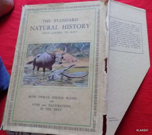 The Standard Natural History - From Amoeba To Man - W P Pycraft  - Hardcover