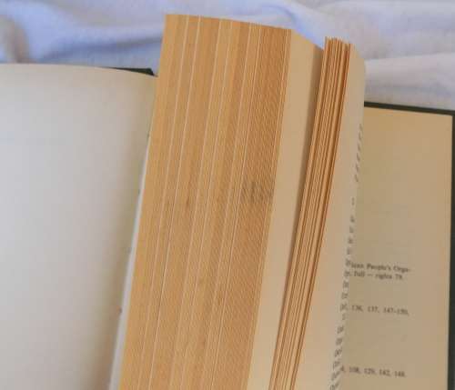 The Pear Tree Bears Fruit - B Kruger and P W Schaberg - Hardcover 1984