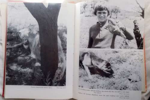 Tommy Goes Home - Peter Stiff - Hardcover 1977