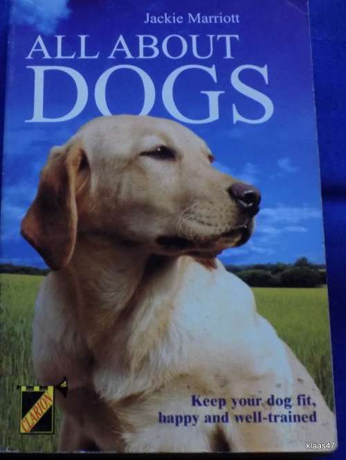All About Dogs - Jackie Marriott - Paperback