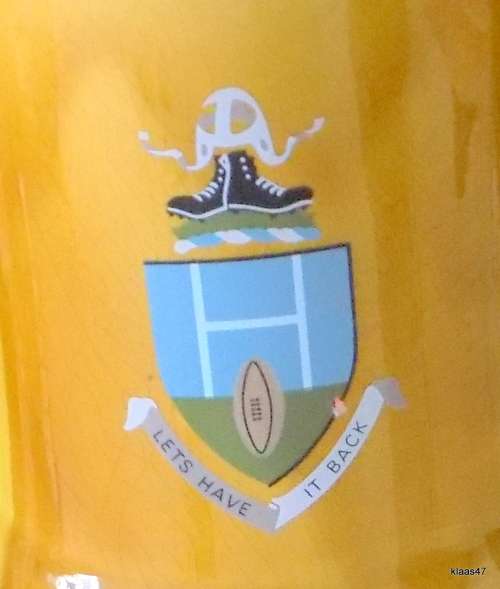 WADE PORCELAIN RUGBY BEER MUG: LETS HAVE IT BACK