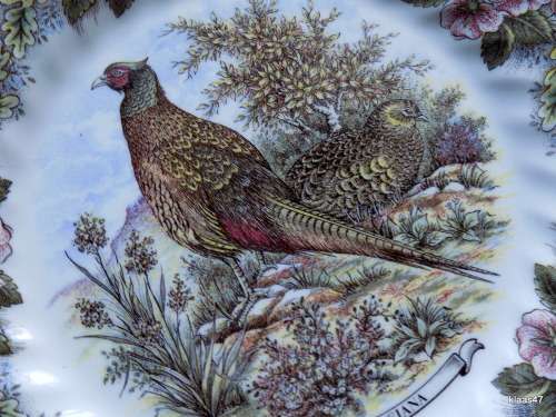 Churchill - Myott Factory archive illustrations - Wildlife - Phasiana - Plate