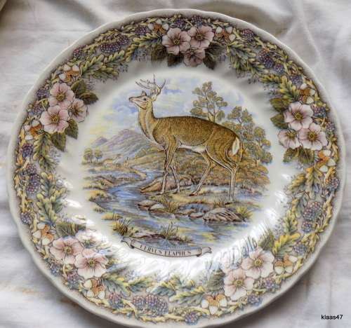 Churchill - Myott Factory archive illustrations - Wildlife - Cervus Elaphus - Plate