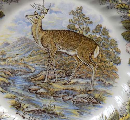 Churchill - Myott Factory archive illustrations - Wildlife - Cervus Elaphus - Plate