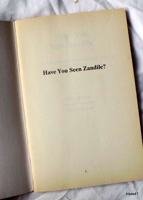 Have you seen Zandile? - G Mhlophe, T Mtshali and M Vanrenen - Paperback
