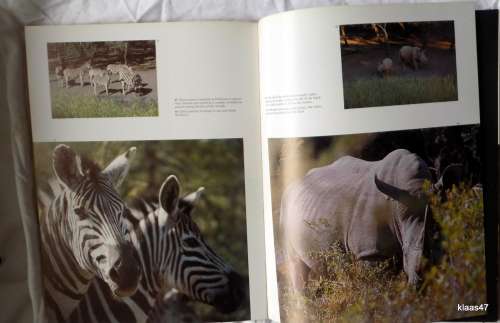 South African Wildlife and Wilderness Gerald Cubitt and David Steel - Paperback 1987